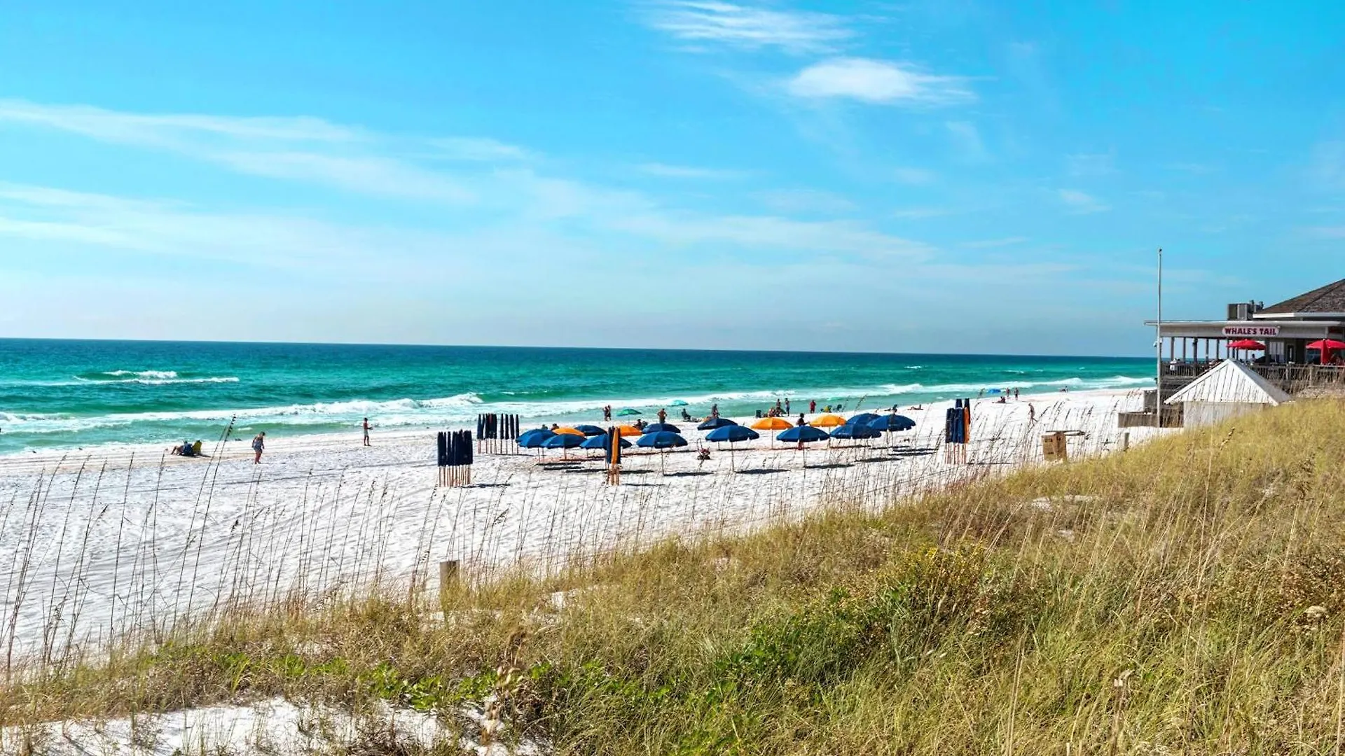 Ariel Dunes II 1007- Son-Sent Blessings Destin 0*,